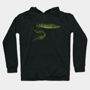 Eels Go Round and Round Hoodie